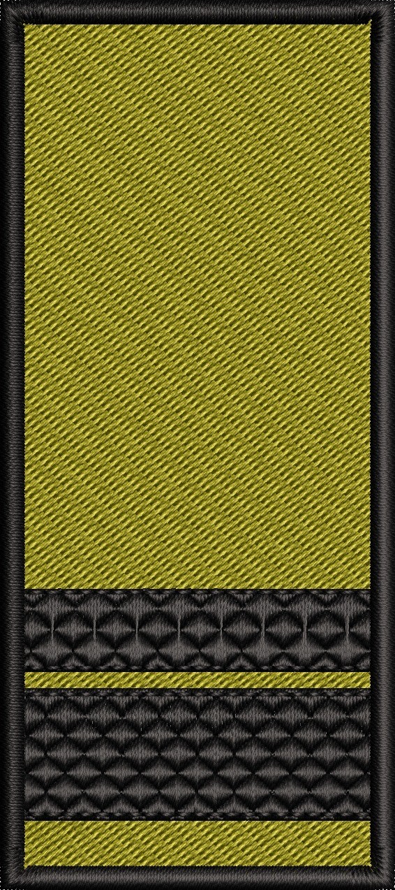 GRADE SERGENT MAJOR / PATCH CU SCAI